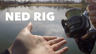 How To Fish The Ned Rig - Bass Fishing