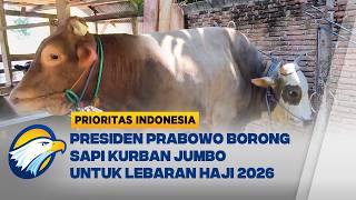 Prabowo Borong Sapi Kurban Jumbo dari Sulawesi Barat | Prioritas Indonesia