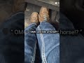 #horse #automobile #equestrian #horsegirl #horses #rodeo #ariat #pony