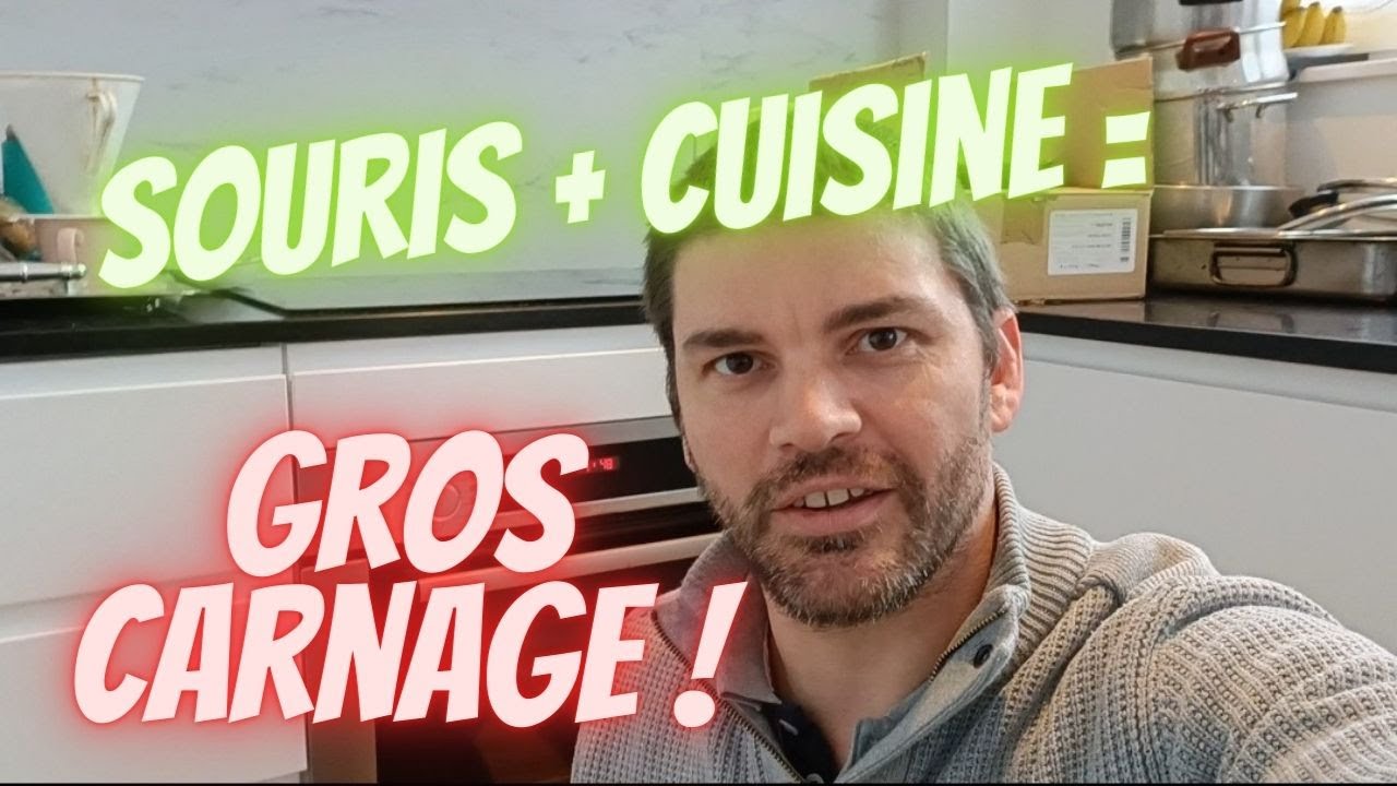 Souris dans sa cuisine : Comment les éliminer ? Episode 1/2