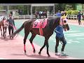 【元マイネル】2026年4月24日金沢競馬場1Rマイネルライゼン&沖静男騎手3着!