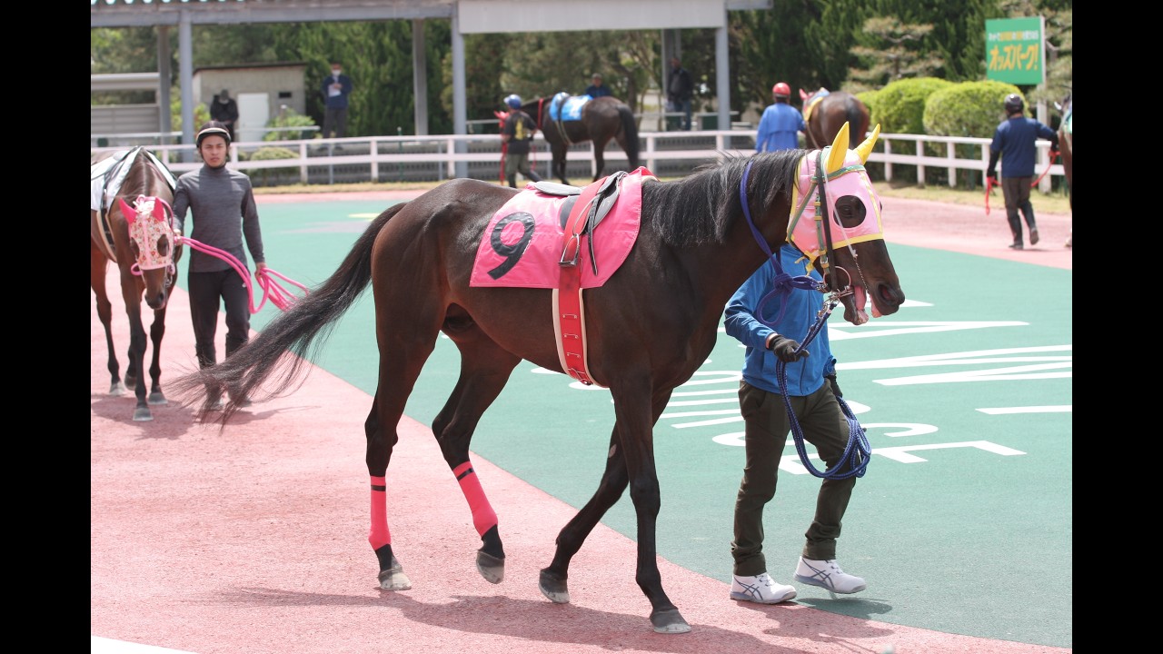 【元マイネル】2026年4月24日金沢競馬場1Rマイネルライゼン&沖静男騎手3着!