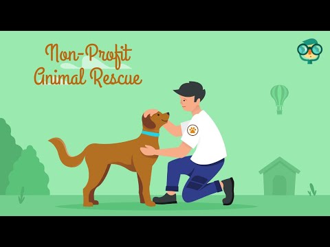 How to Start a Non-Profit Animal Rescue? How to Open a Non-Profit Animal Rescue? 501c3 Animal Rescue
