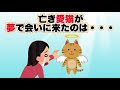 亡き愛猫が夢で会いに来た理由 #猫雑学