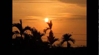 2012屏東縣新園鄉瓦瑤村除夕爺爺回娘家拍夕陽美景