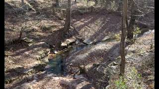 Relaxing stroll on the Echo River Spring Trail 