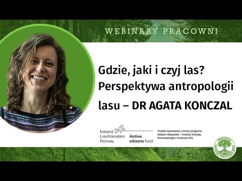 Gdzie, jaki i czyj las? Perspektywa antropologii lasu