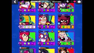Shelly Bester Brawler