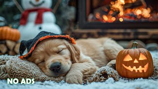 12 Hours Calming Dog Music 🐶🎃 Stress Relief Music 🌈 Deep Sleep 🕷️ No Ads
