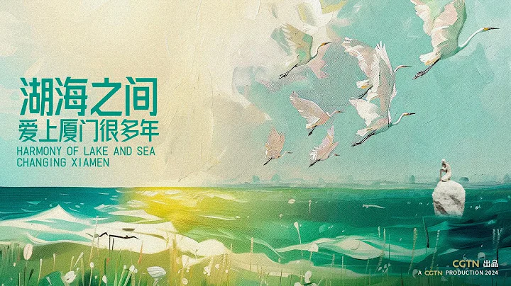 'Harmony of Lake and Sea: Changing Xiamen' – Transformation in the Eyes of Three 'Xiamen Natives' - DayDayNews