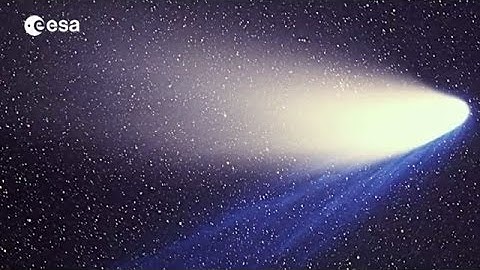 Rosetta: Comets May Hold Key to Origin of Life on Earth | Video