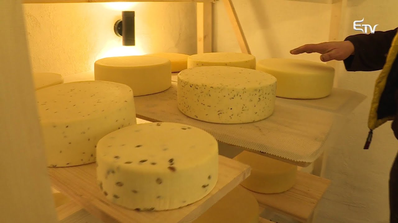 Tájkép: kecsketenyésztés – 2020. február 10.