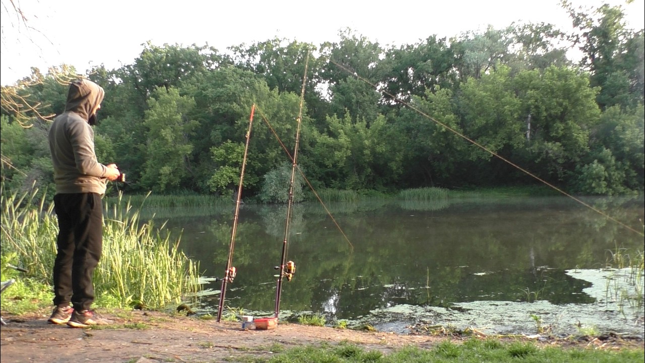 Рыбалка на леща и сома в красивых местах