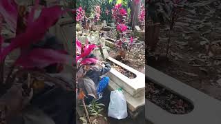 Keluarga Besar Almh Ibu Hj Henny Chaeranny Bi Ti Djasman Berjiarah Di Pemakaman Kebon Dalapandekun