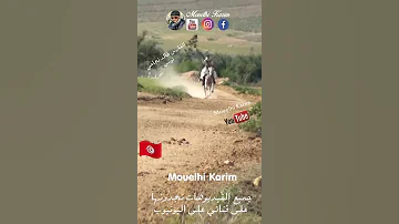 ريض ما تمشيش الراكب لزرق 