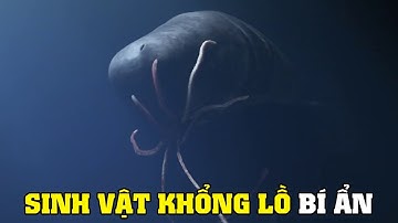 Cá Nhà Táng - Bí Ẩn Loài Động Vật Có Vú Lớn Nhất | Khám Phá Thế Giới Động Vật Hoang Dã