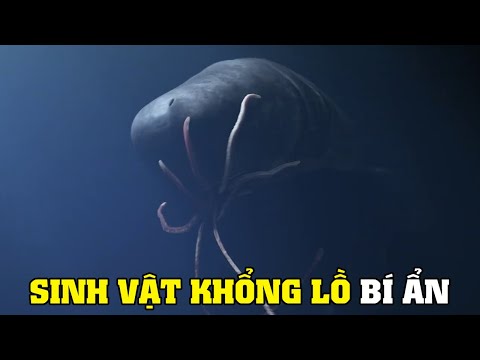 Video: Động vật có vú lớn nhất trên thế giới là gì? Đại diện lớn nhất của động vật có vú