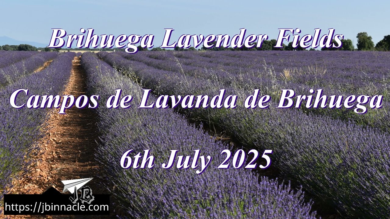 JULY/AUGUST 2008, image size:1280x720