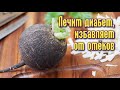 Как ЛЕЧИТЬ ДИАБЕТ и ИЗБАВИТЬСЯ от ОТЁКОВ при помощи ЧЁРНОЙ РЕДЬКИ?