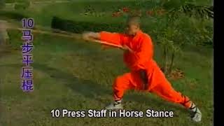 Shi de Ci - Shaolin Plum-Blossom Hongyang Staff