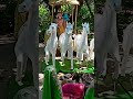 yah use #samay# ka seen Hai jab gopiyon Ne #Krishna# Bhagwan# ke Rath ko #rokane# ki #koshish# ki