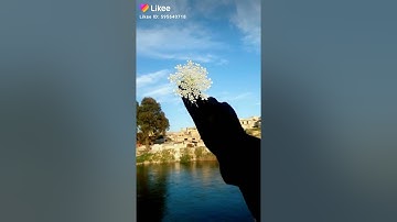 سورة نوح بصوت جميل