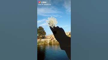 سورة نوح بصوت جميل