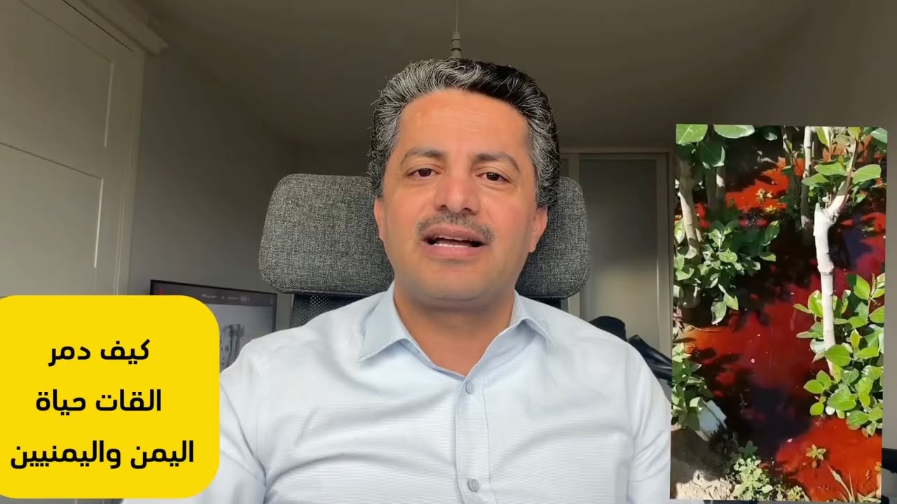 علي البخيتي: كيف دمر القات وسمومه اليمن واليمنيين 🌿 فيديو مهمم 😳🇾🇪