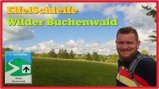 Eifelschleife Wilder Buchenwald 2,7K
