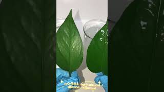 RO-888 wetting 2023062401