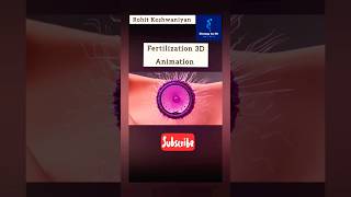 Fertilization 3D Animation| #neet #biology #3danimation #trending #viral #htet2024