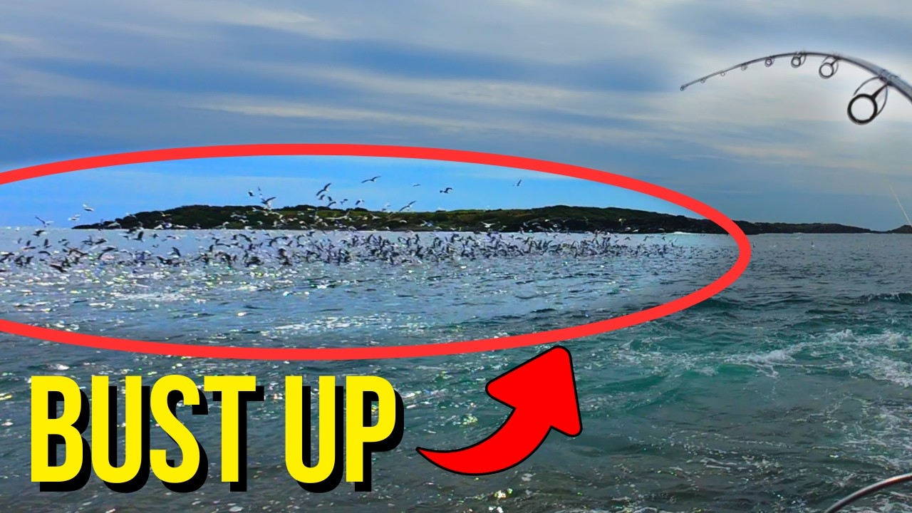 Fish Busting This CRAZY BUSTUP DIDN'T STOP | Sydney Rockfishing - YouTube