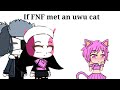 If FNF met an uwu cat boy