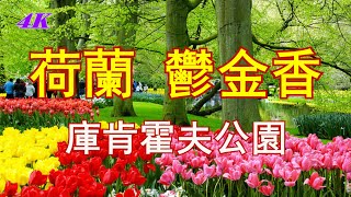 【4K】荷蘭，鬱金香，郁金香，阿姆斯特丹, 庫肯霍夫公園 ... 