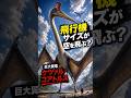 キリン級の翼竜は本当に飛べた?巨大翼竜ケツァルコアトルスの謎 #ケツァルコアトルス #絶滅動物 #恐竜時代