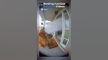 Ranking Funniest Sora 2 AI Videos