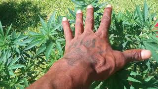 Take a trip wit me outside fa a sec🚜🚜