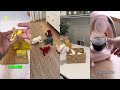 TOP AMAZON FINDS FOR HOME ORGANIZATION AND DAILY EFFICIENCY