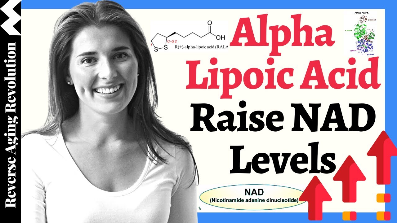 Raise NAD Levels With ALPHA LIPOIC ACID HOW & WHICH FORM Explained