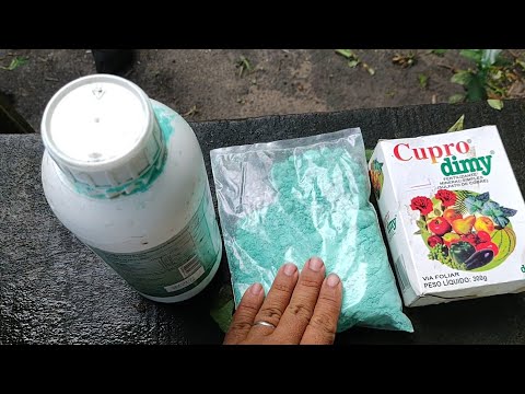 Vídeo: Como é feito o cupro?