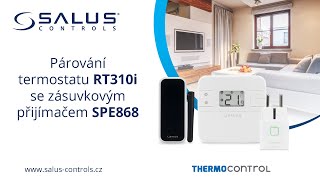 RT310i + SPE868