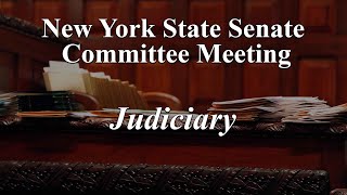 Senate Standing Committee on Judiciary - 05/21/2024 by NYSenate 36 views 8 days ago 13 minutes, 21 seconds
