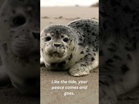 'Ocean Breathing' #relax #redditstories #lifeisbutadream #reddit #природа #calmshorts