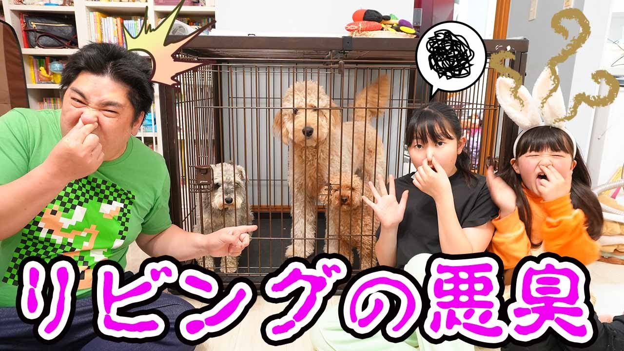 【悲報】もう暮らせない！リビング悪臭！その理由は・・？ - はねまりファミリー