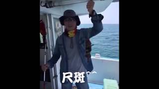 洋天66 淡水一支釣 永慶船長 帶您直攻石斑窩 20160821