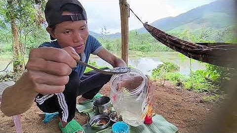 Bữa cơm ăn trưa của mình ở trên rẫy làm ruộng nhá mọi người 