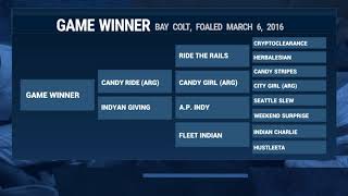 Game Winner: Pedigree Profile