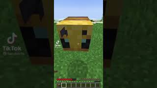 Minecraft TikTok Compilation 3