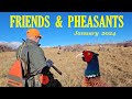 FRIENDS & PHEASANTS: Lone Pine 2024