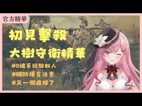 魂系新人挑戰大樹守衛！過了14小時贏了但也壞了 #艾絲梅亞 #梅梅有料 #官方精華